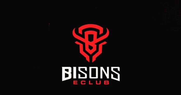 bisons logo